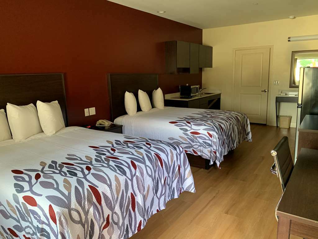 Red Roof Inn Houston - Willowbrook Louetta Quarto foto